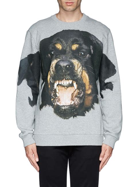 givenchy rottweiler sweatshirt grey|rottweiler printed t shirt.